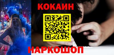 сатива Новозыбков