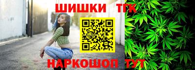 сатива Новозыбков