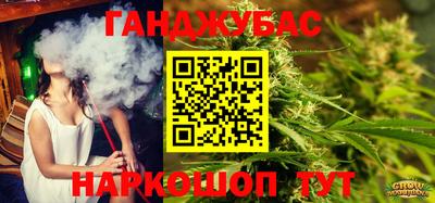 сатива Новозыбков