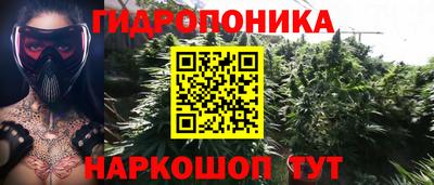 сатива Новозыбков
