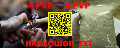 тгк Новодвинск