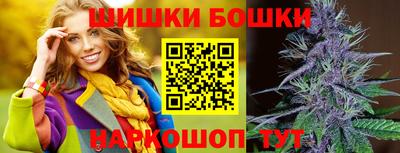 тгк Новодвинск
