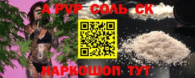 тгк Новодвинск