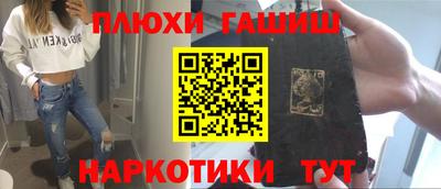 сатива Новозыбков