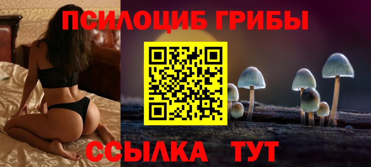 Псилоцибиновые грибы Magic Shrooms  Псилоцибиновые грибы Psilocybe  Анжеро-Судженск  Вход с VPN 